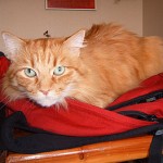 Ya que me result&oacute;…