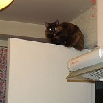 Me gustan los lugares altos