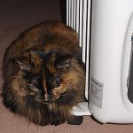 Hace muuuuuucho fr&iacute;o