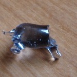 Gatorrista en acci&oacute;n III