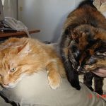 Muy mi hija ser&aacute;…