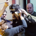 La hermosa Amapola..