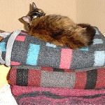 Sigo con mi campa&ntilde;a…