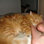 Hoy es d&iacute;a descanso…