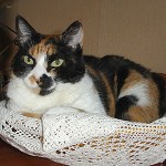 Hoy es mi cumplea&ntilde;os