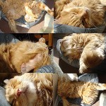 Qu&eacute; estr&eacute;s!!!