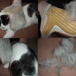 He sido vejado y torturado…