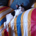 C&oacute;modo rinconcillo