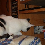 Tengo que reconocer…