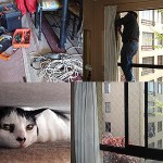 Hay unos hilos raros en las ventanas