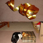 Gatorradas navideñas