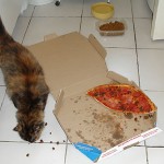 Ñam, ñam…. pizza!!