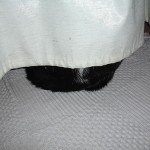 Se siguen riendo de mí