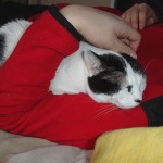 Prrrrrrrrrrrrrrrrr……