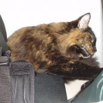 Upsss… he sido descubierta…