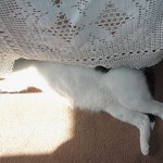 35º ayer y hoy… nadie puede…