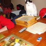 Humano juega y juega