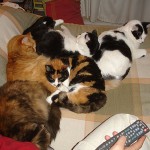 Se nota que hace frío?