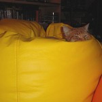 Si me escondo aquí…