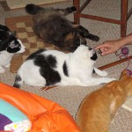 Vinieron unas admiradoras a conocernos