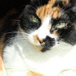 12 años y preocupada