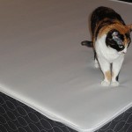 La cama nueva de humana