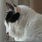 6 años en esta casa