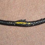 La asesina de cables ha vuelto…