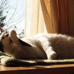 Nada de atochamiento…