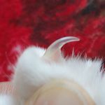 Como que exageré un poco…