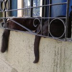 El calor acosa…