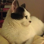 Humana y sus juguetes tecnológicos…