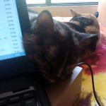 Humana y sus juguetes.. otra vez