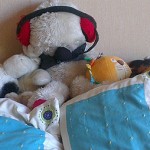 Encuentre a los peluches de verdad…