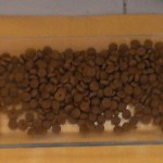 No nos gustó este plato…