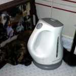 Ideal para las mañanas