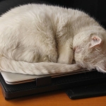 Apropiación completada…