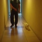 Me tienen en entrenamiento, parece que se vienen aventuras