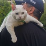 Hoy no quiero caminar por el patio