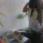 ‘Vendida’. Eso me dijeron humanos… Todo por ofrecer mi pancita a estas dulces niñas