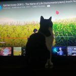 Humanos quieren ver una película, mientras la encuentran, yo juego