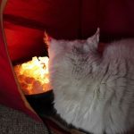 Yo uso mi caldero mágico como quiero