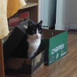 Mmm… No sé si me gusta la nueva integrante… irá a jugar conmigo? Es tan pequeña ella