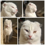 Me molesta el sol… Se nota?