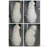 Humana se divierte tomándome fotos de espalda