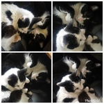 Domingo… A falta de sol, sirve el calor grupal