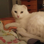 Regresaste, humana ingrata!Te extrañé!