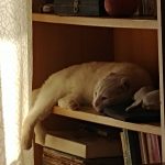 Calooorrr, flojeeeeraaa… Y me dicen que soy un adorno