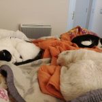 Good day Sunday!Modo relajo total