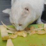 Melón! Manjar de dioses! Ñami